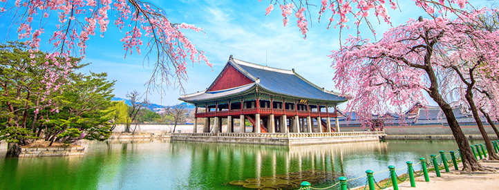 Angebot nach Seoul in der Business Class