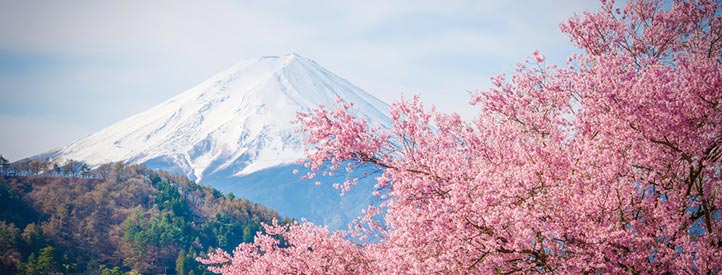 Angebot nach Tokio in der Business Class