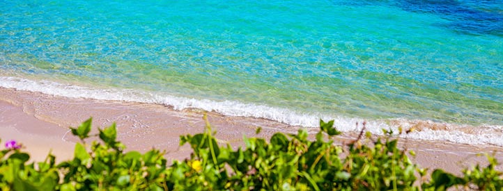 Angebot nach Punta Cana in der Business Class