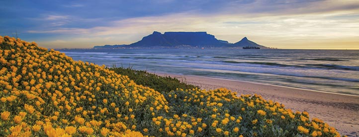 Offer to Cape Town in Business Class with Lufthansa